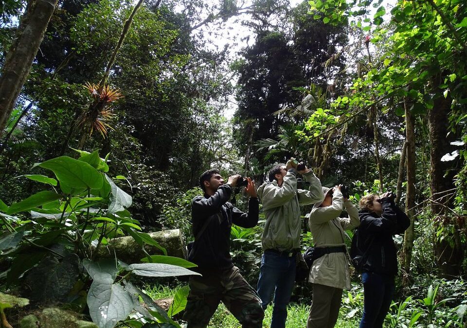 Observando Aves con Audubom Venezuela