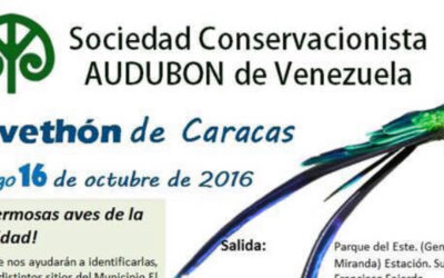Audubon Venezuela celebra la XX edición del Avethon de Caracas