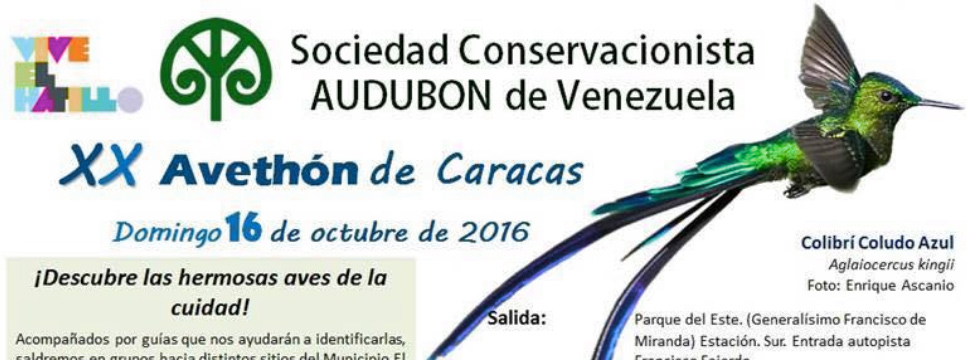 Audubon Venezuela celebra la XX edición del Avethon de Caracas