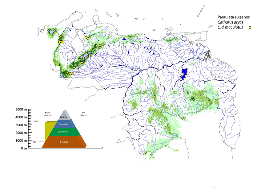 C dryas mapa Venezuela